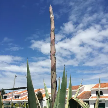 Hébergement de vacances Casa E Ria Torreira