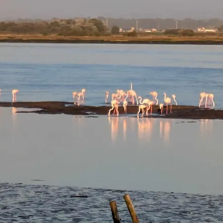 Casa E Ria Hébergement de vacances