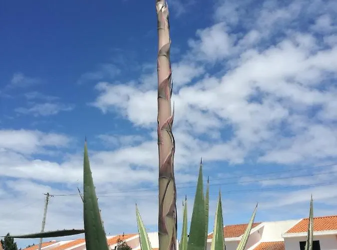 Сasa de vacaciones Casa E Ria Torreira