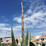Vakantiehuis Casa E Ria Torreira