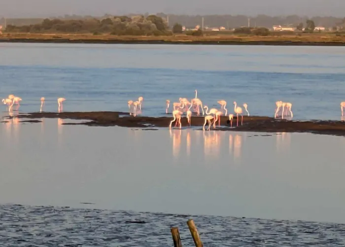 Casa E Ria Vakantiehuis